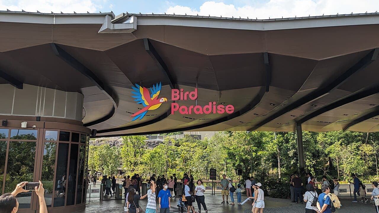 Bird Paradise