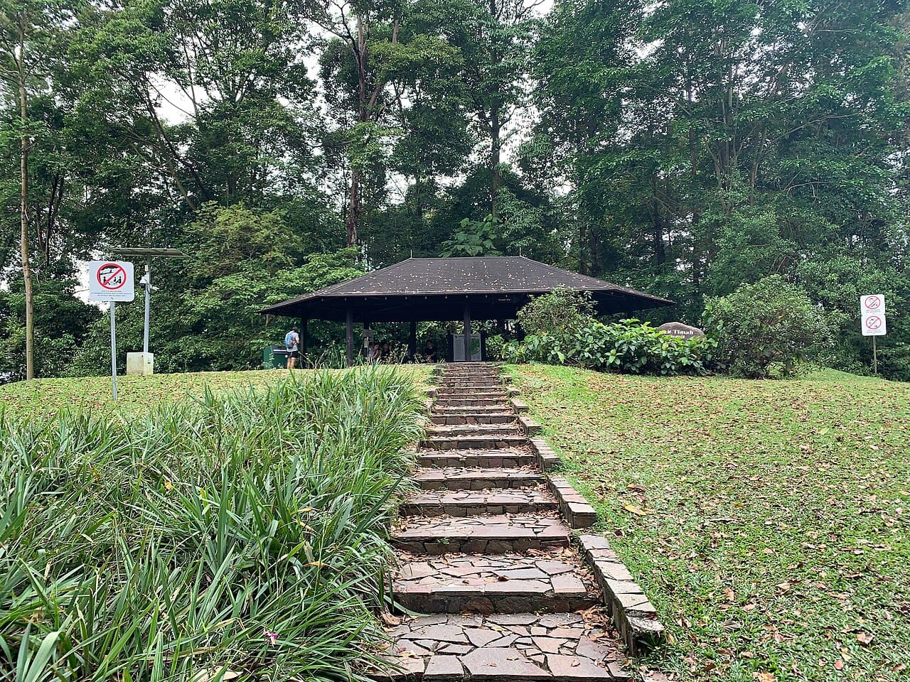 Bukit Timah Nature Reserve