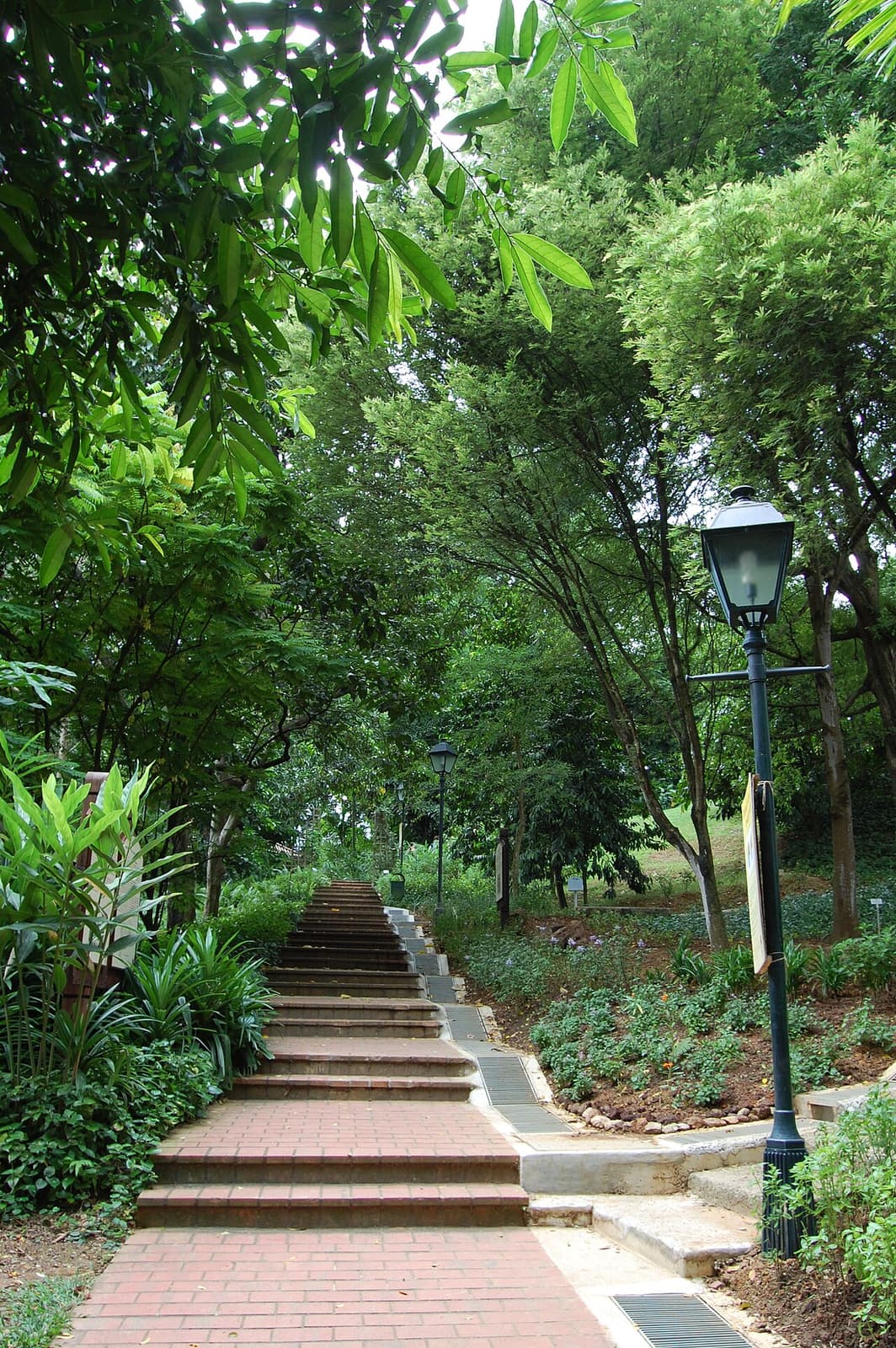 Fort Canning Park