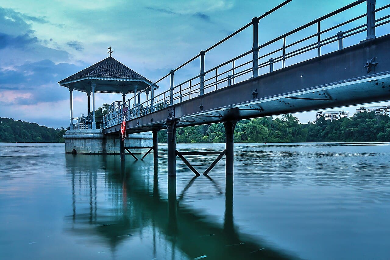 MacRitchie Reservoir