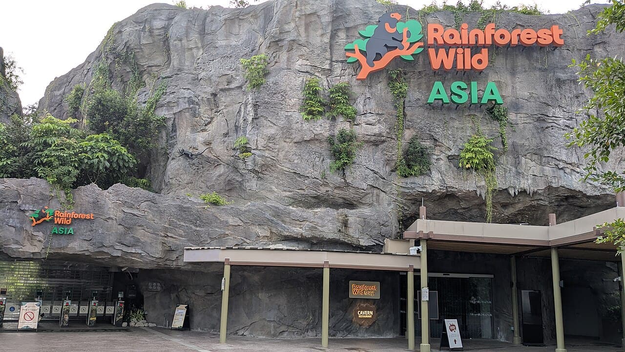 Rainforest Wild Adventure