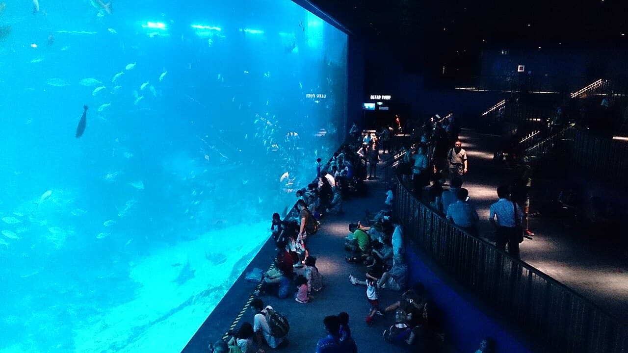 Singapore Oceanarium