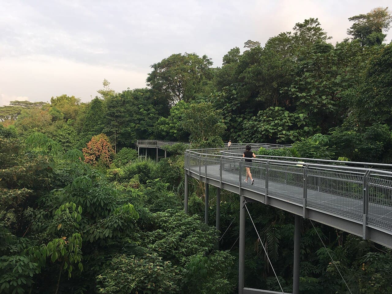 Southern Ridges